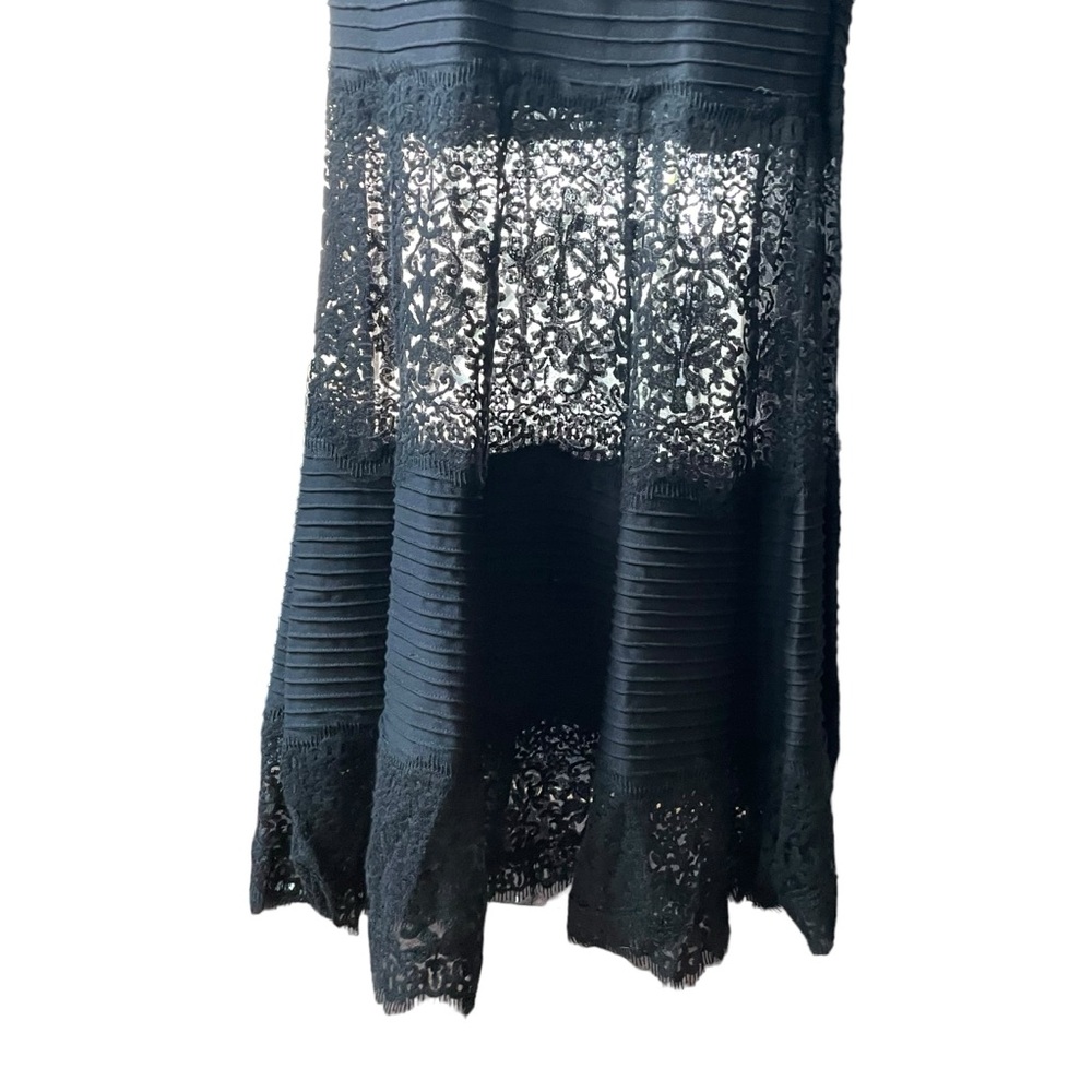 Tadashi Shoji Black Embroidered Illusion Lace Pintuck Jersey Dress Formal Gown - Picture 3 of 14